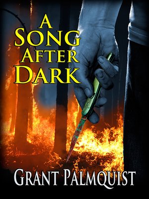 cover image of A Song After Dark